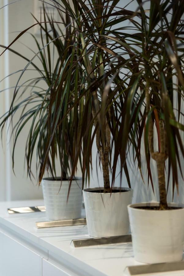 אתונה Central Cozy Studio With A Secret Garden מראה חיצוני תמונה